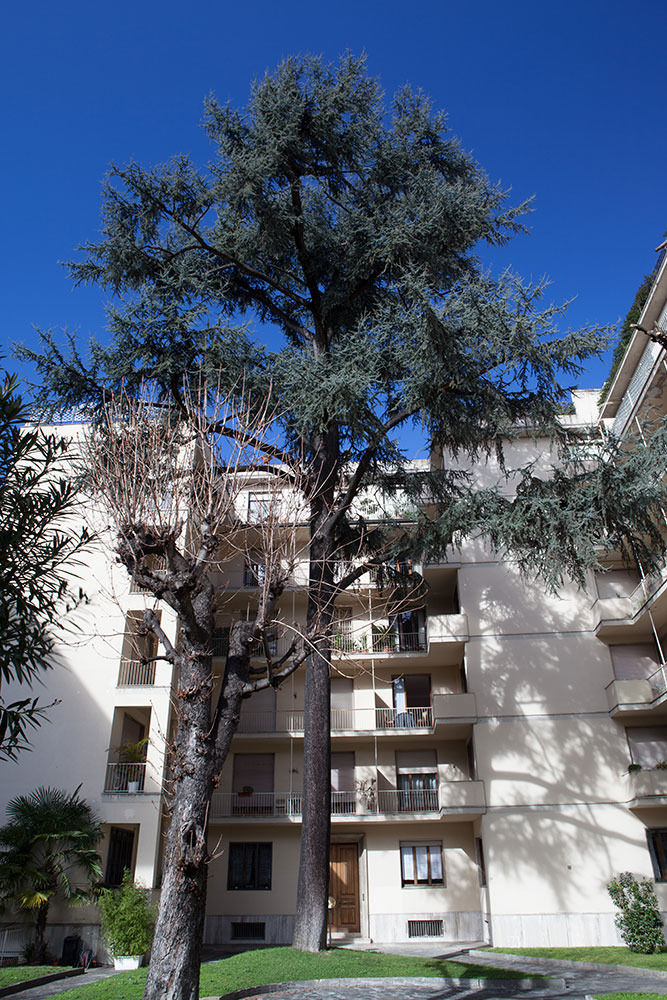 Verdi Apartamento Florencia